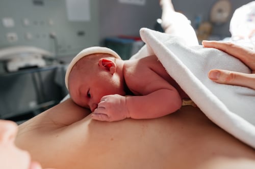 Skin-to-Skin Beyond the Newborn Brochure