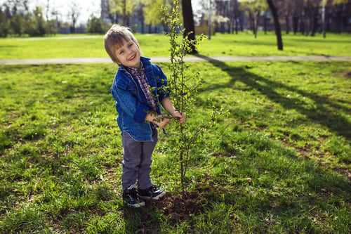 Nature: tree names and noticeboards