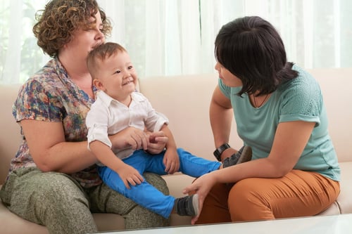 Plunket and Well Child Visits as Partnership